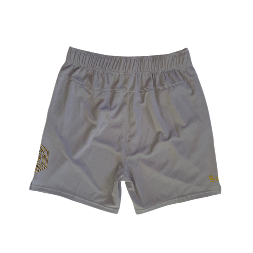 Glide Mesh Training Shorts (AET)