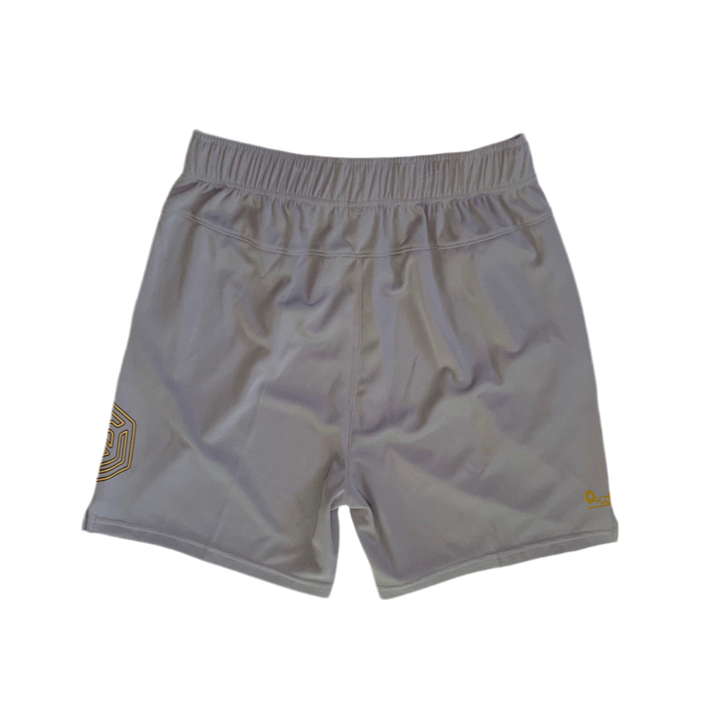 Glide Mesh Training Shorts (AET)