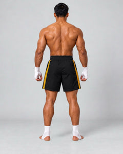 LGLGFG Calibra MMA combat shorts in black and gold, model rear view