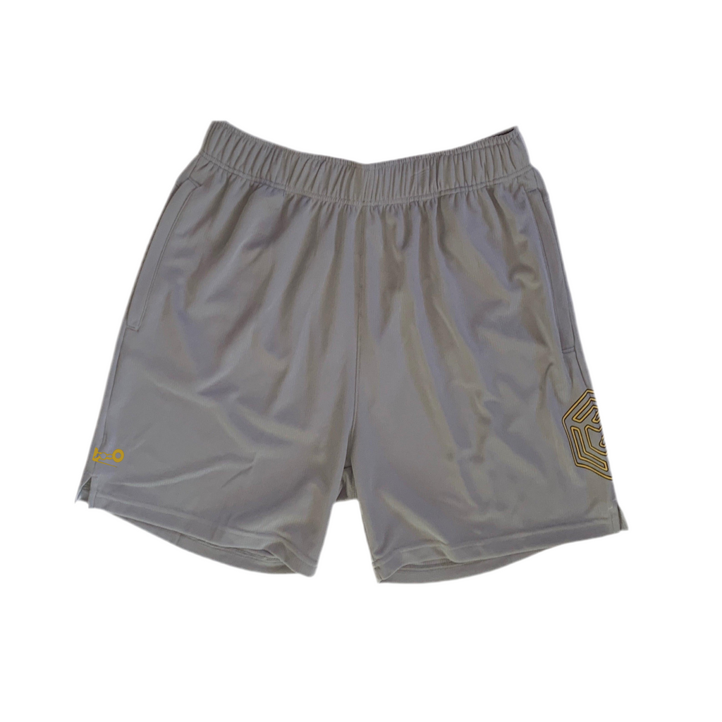 Glide Mesh Training Shorts (AET)