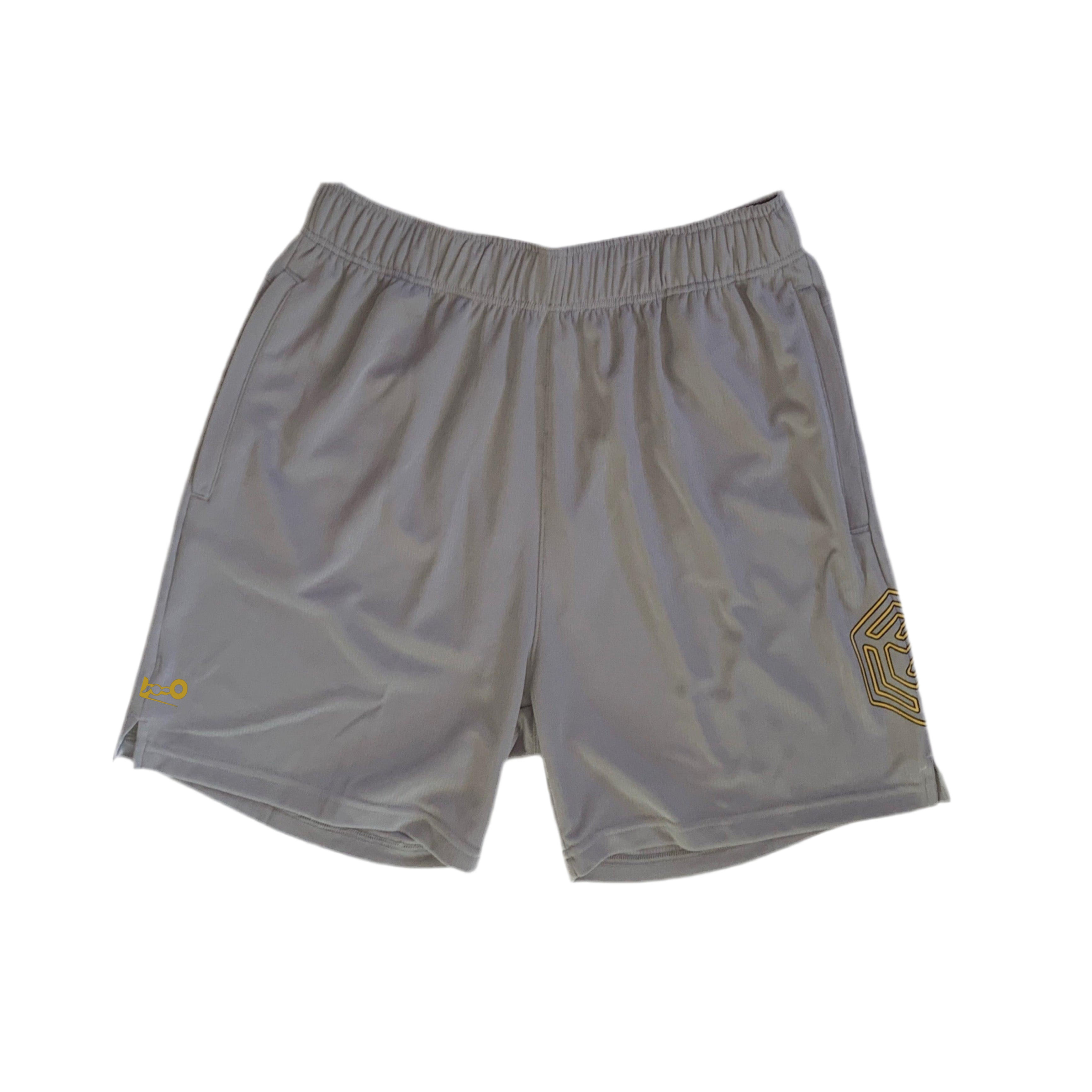 Glide Mesh Training Shorts (AET)