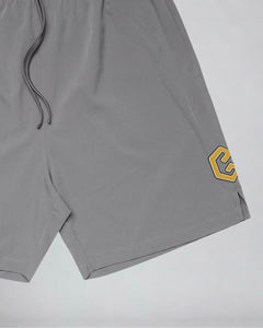 LGLGFG Aegis Shorts in Grey laid flat, third detail view