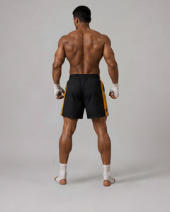Calibra MMA Shorts | Combat