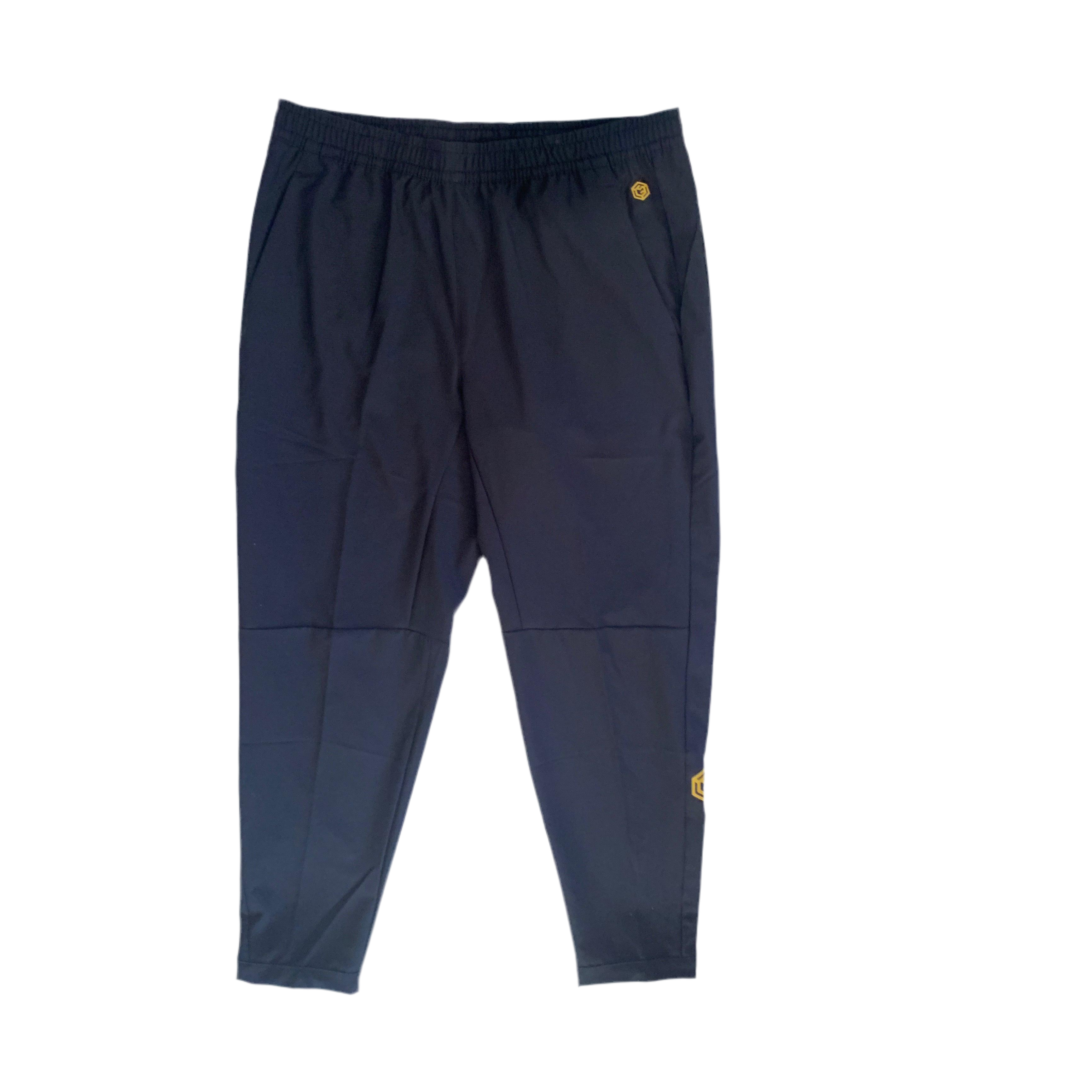 PowerStride Training Joggers (AET)